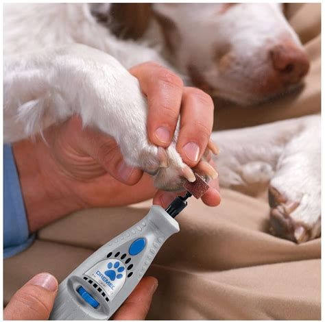 dog nail trimmer