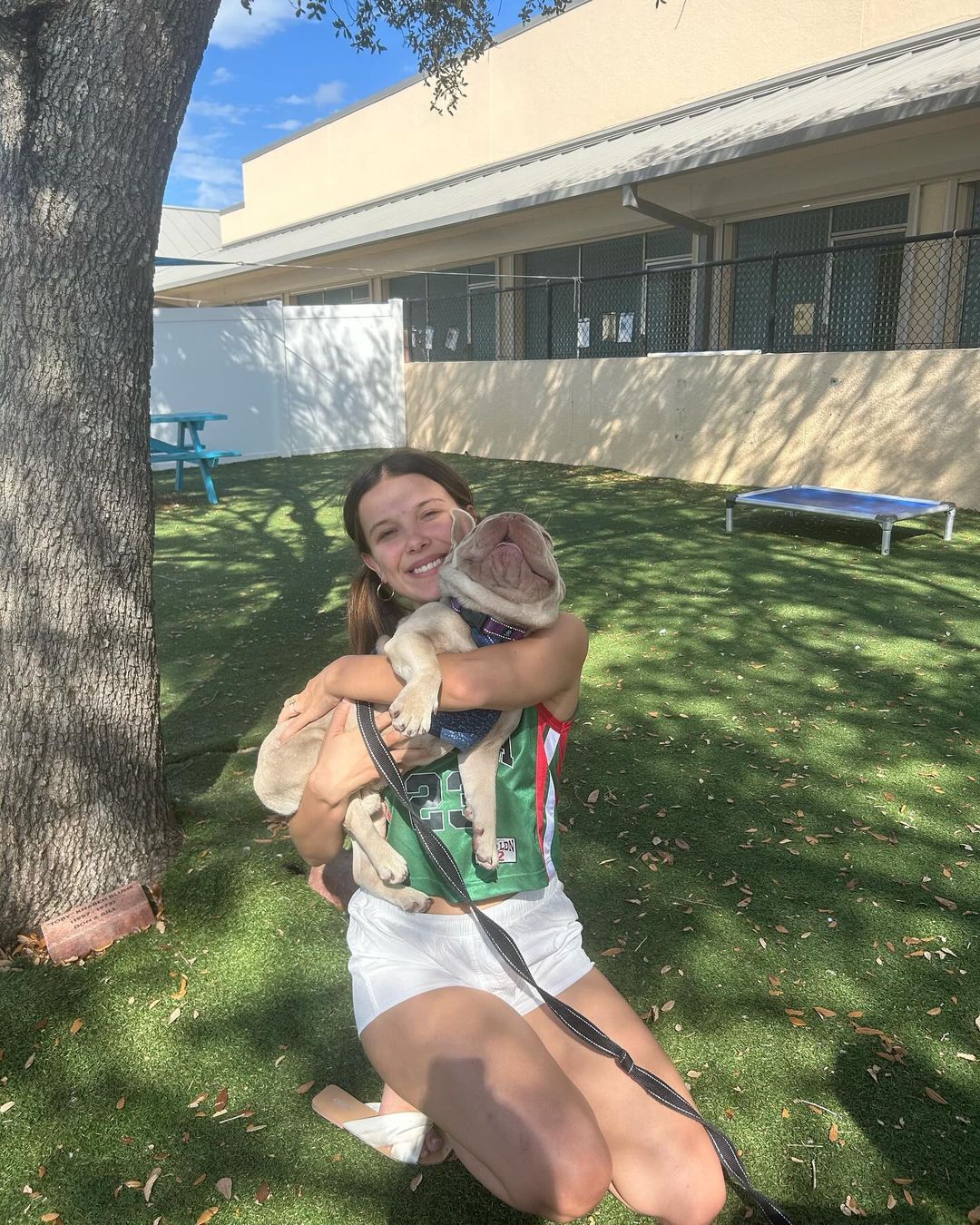 dog and stranger