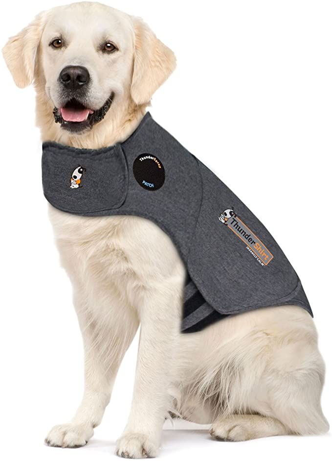 dog jacket