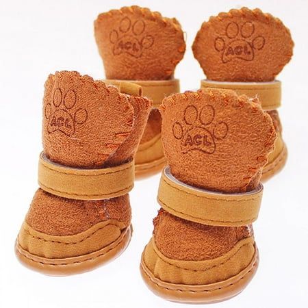 dog shoes