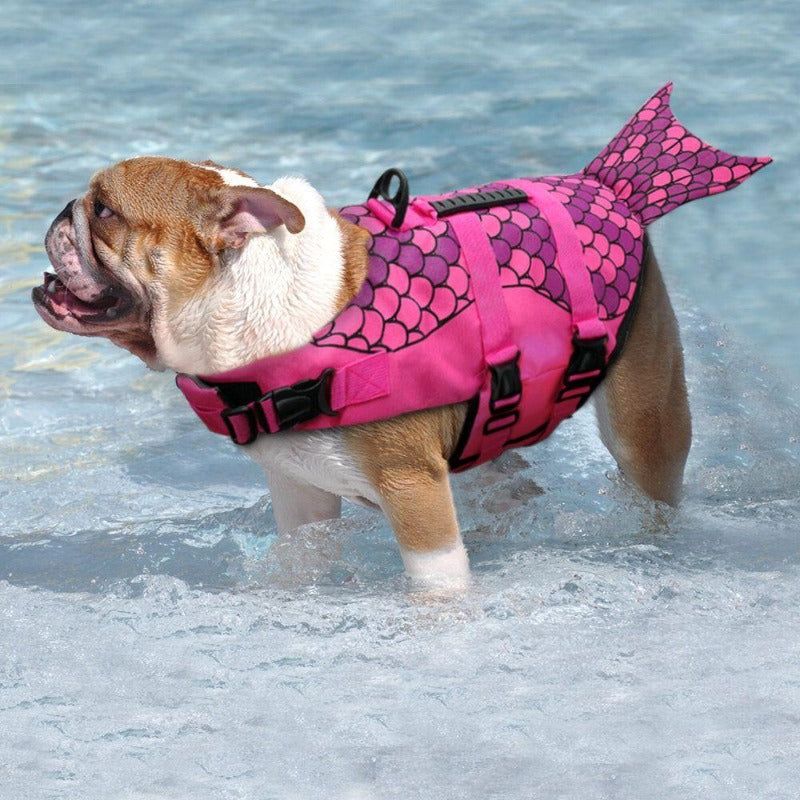 dog life jacket