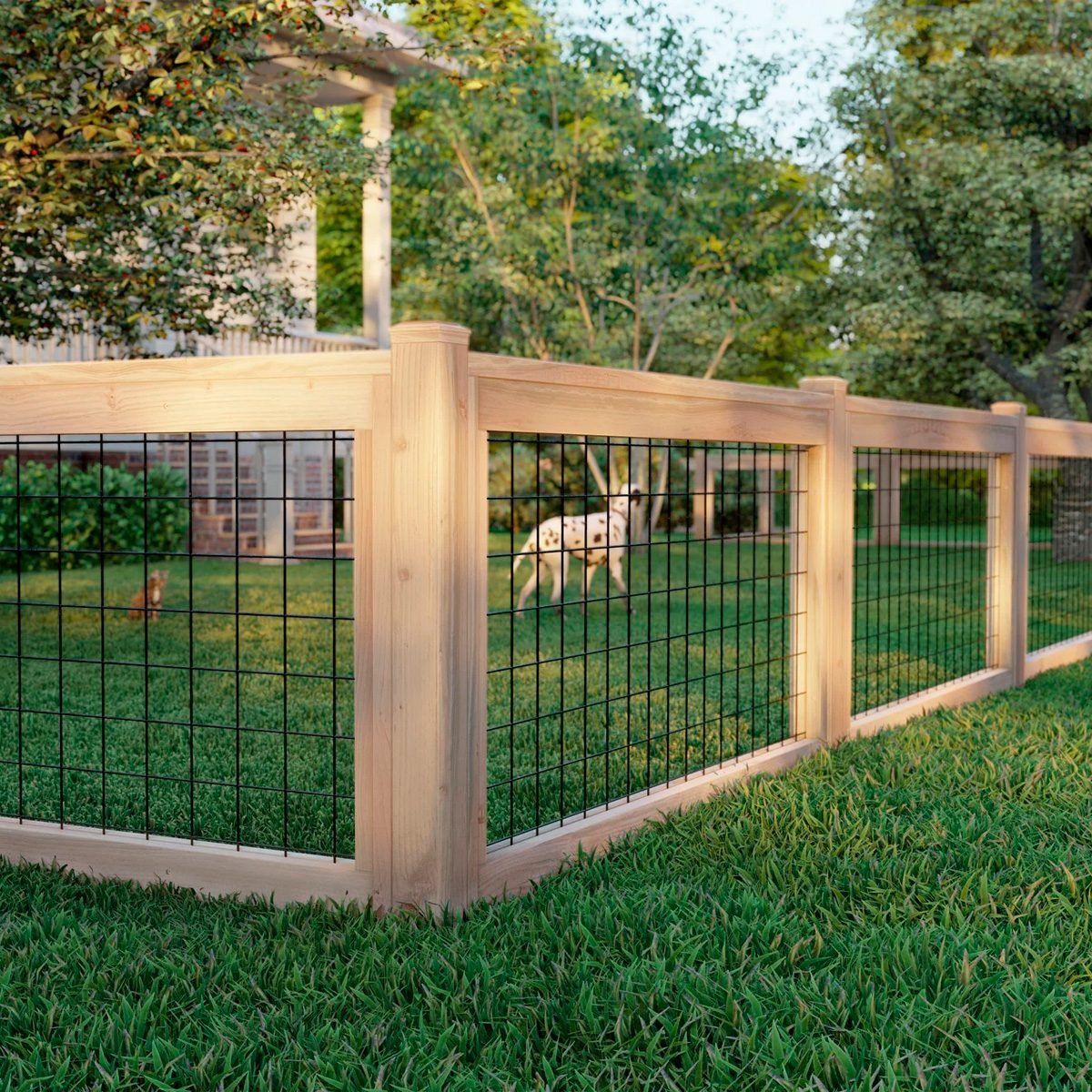 dog fencing