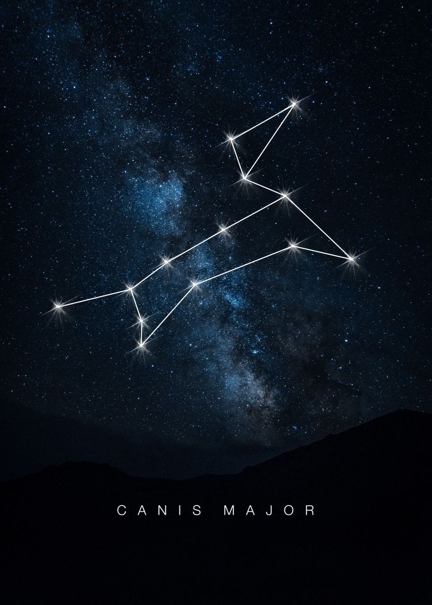 canis major