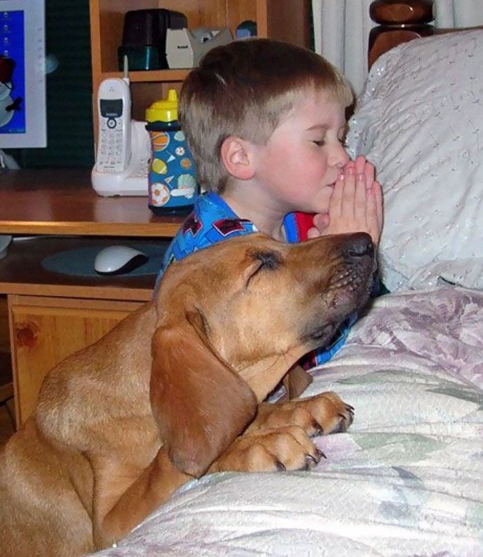 a boy and a dog