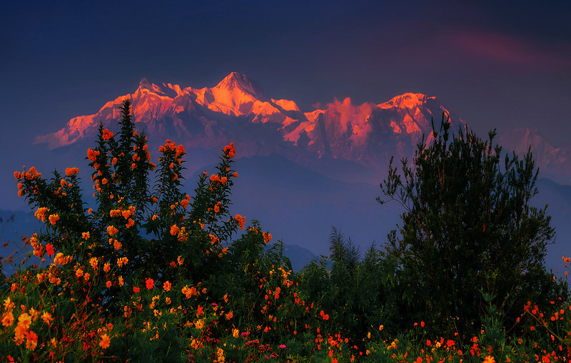 himalayan range