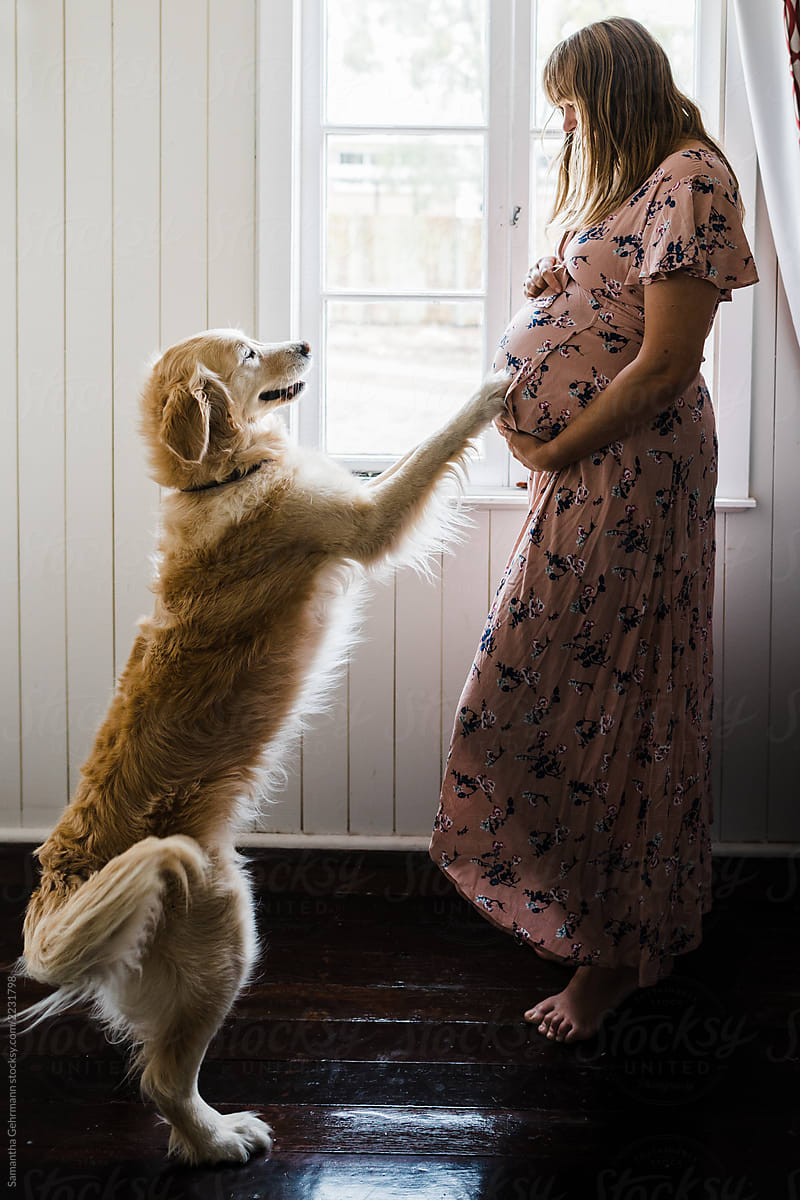 pregnant woman and dog