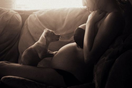 pregnant woman and dog