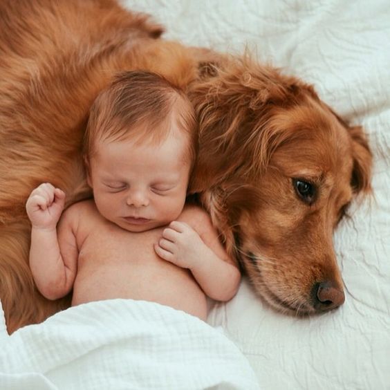 baby and dog