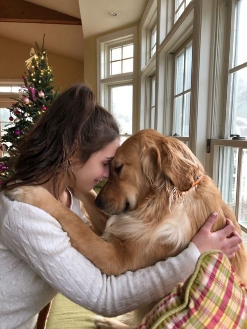 hug the dog