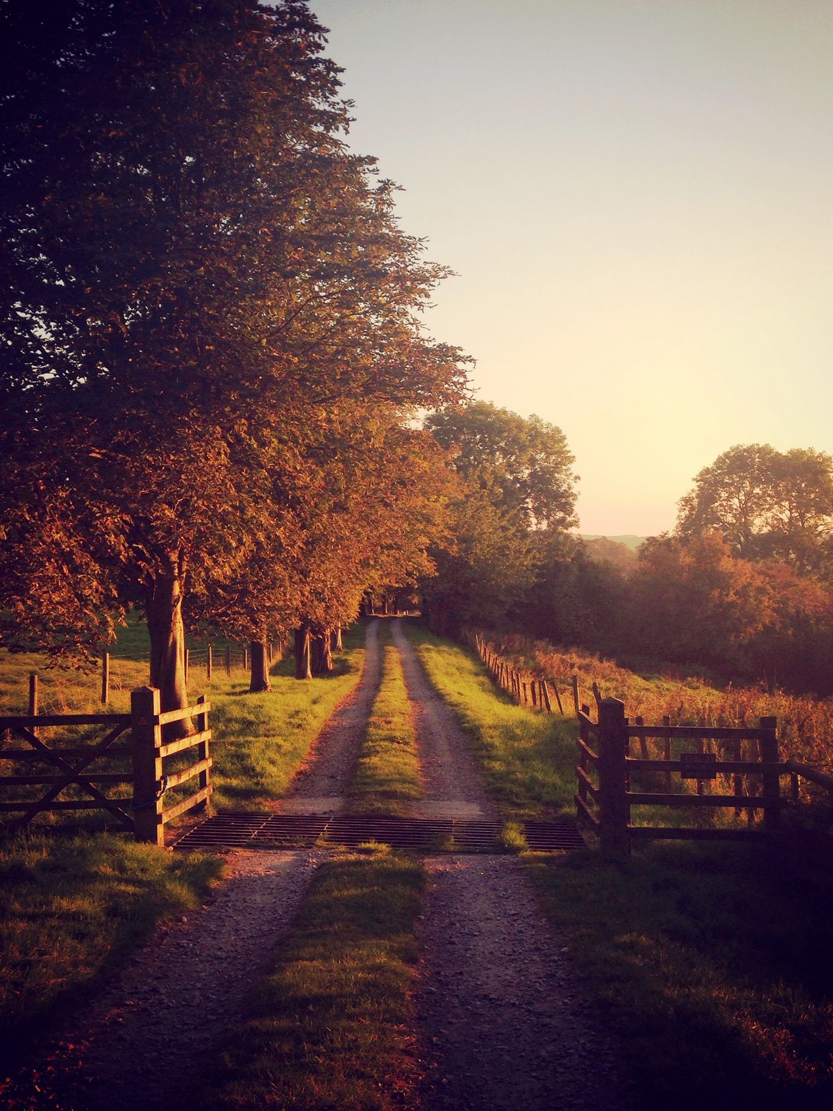 american country side