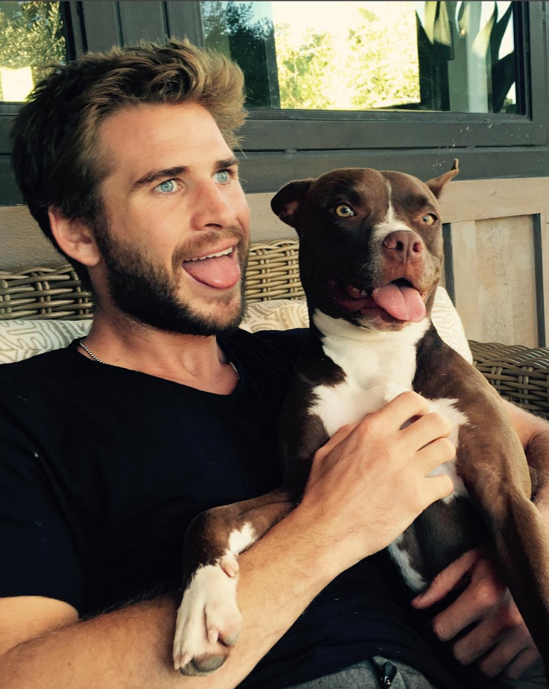 liam hemsworth with dog