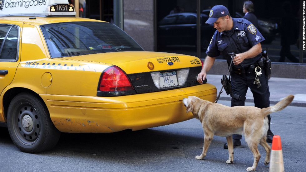 drug sniffing dog