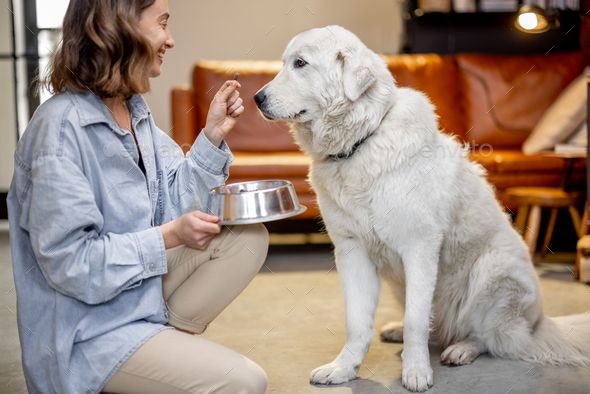 woman feeding dog