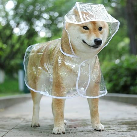 dogs raincoat