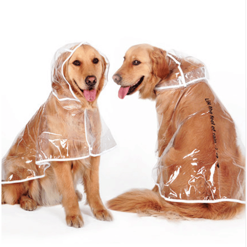 dog raincoat