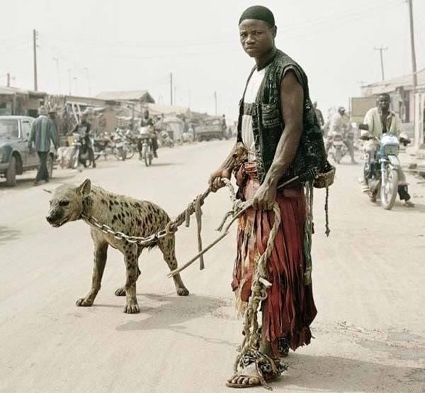 dog in south sudan