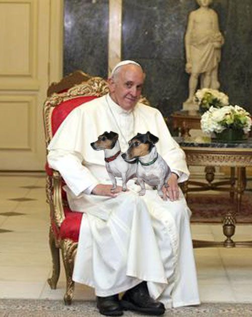 pope francis and dog