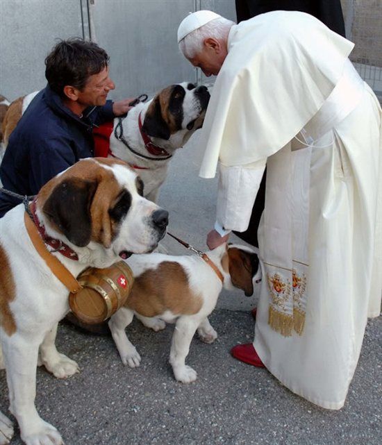 dog in vatican