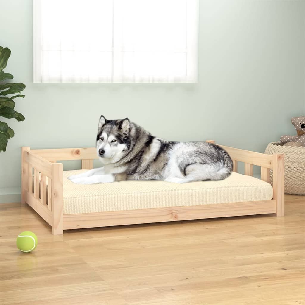 dog bed