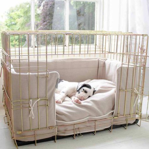 a dog crate