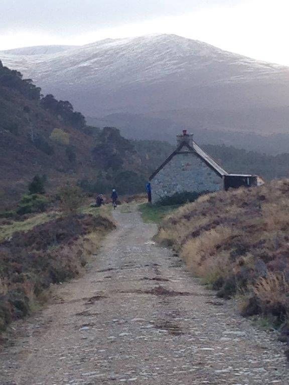 dogs in scotland