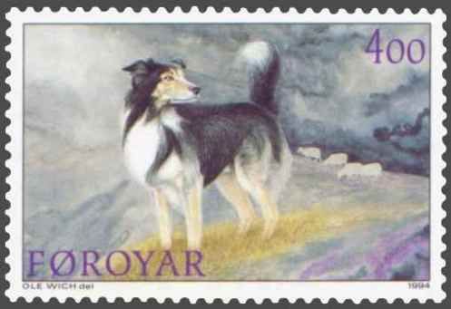 faroese sheepdog