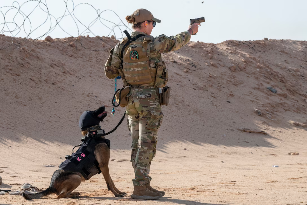 military dog saudi