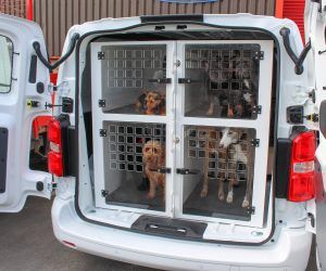 dogs crate for car