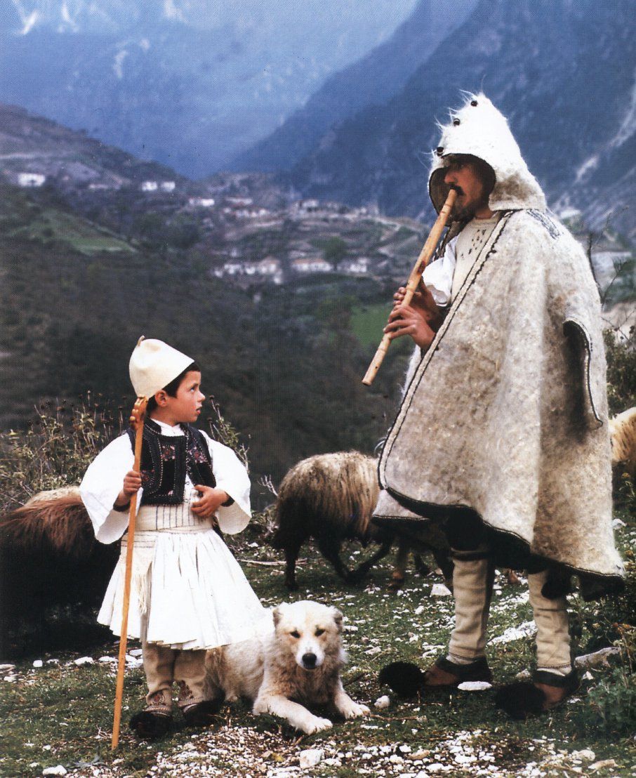 albanian shepherd dog