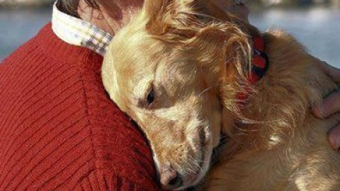 Fancy Giving a Doggo to Your Old Man? Here’s What You Should Know