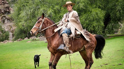 South American Shepherd Dogs: Guardians of the Pampas