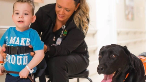 The Healing Power of Dogs: How Canine Therapy is Revolutionizing Mental Health and Boosting Positive Energy in Humans