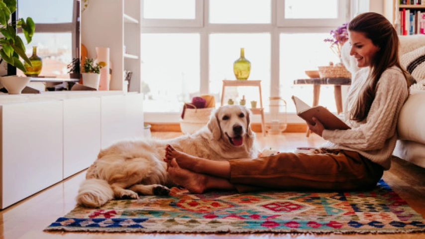 The Role of Oxytocin in the Human-Dog Bond: The Science Behind Our Deep Connection